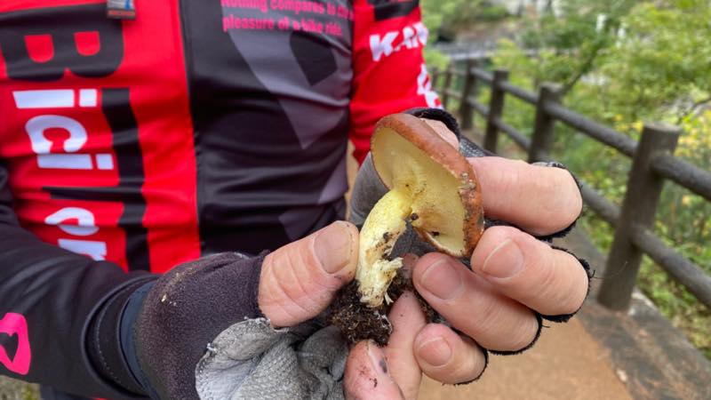 f:id:u_rotas:20211019082600j:plain