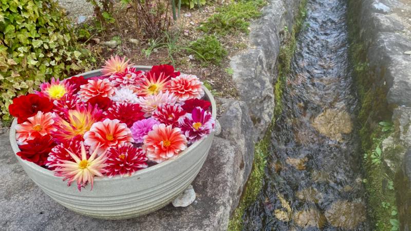 f:id:u_rotas:20211019082619j:plain