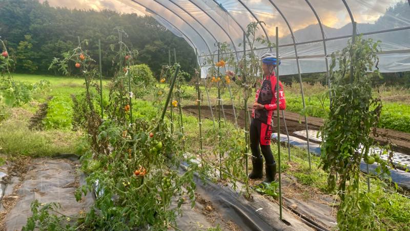 f:id:u_rotas:20211019082736j:plain