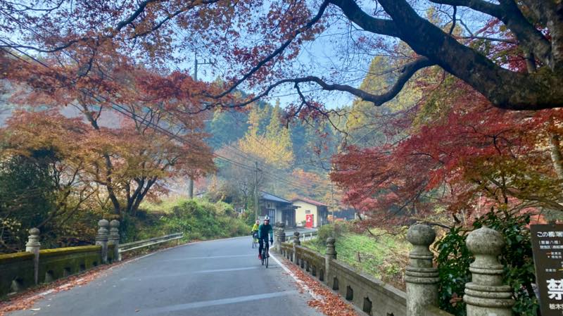 f:id:u_rotas:20211122104944j:plain