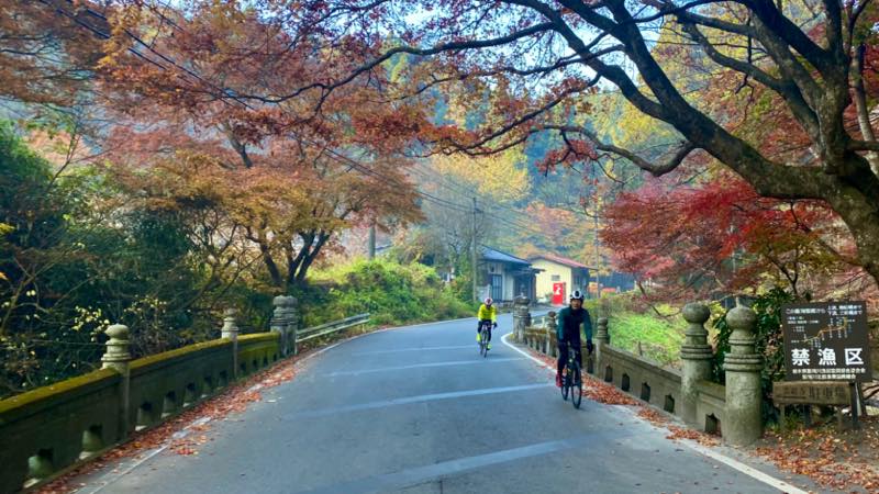 f:id:u_rotas:20211122104946j:plain