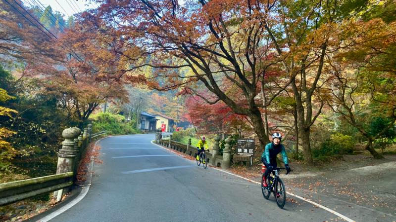 f:id:u_rotas:20211122104948j:plain