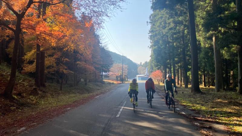 f:id:u_rotas:20211122104959j:plain