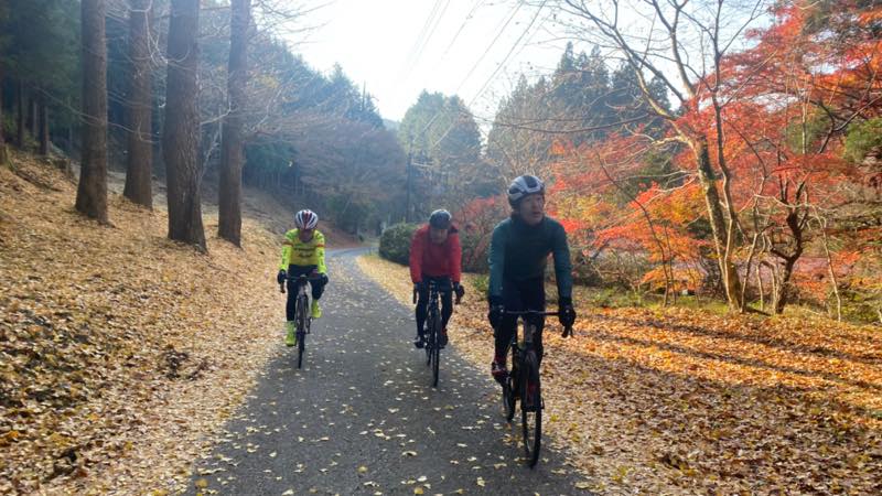 f:id:u_rotas:20211122105001j:plain