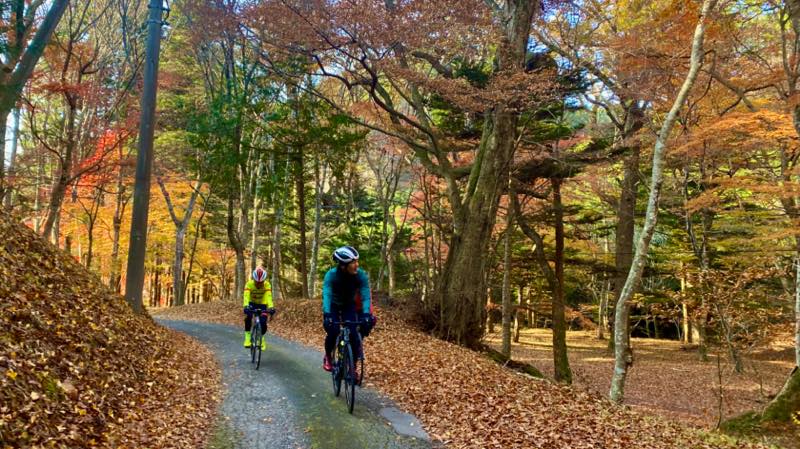 f:id:u_rotas:20211122105003j:plain