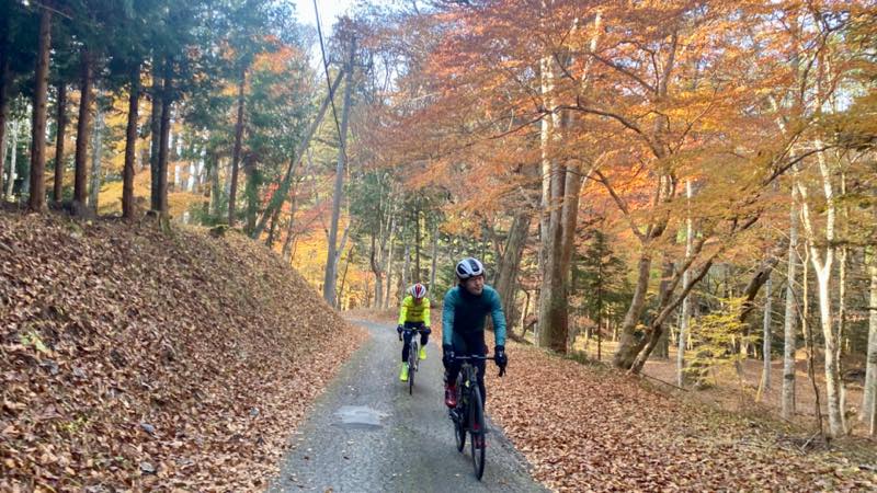 f:id:u_rotas:20211122105006j:plain