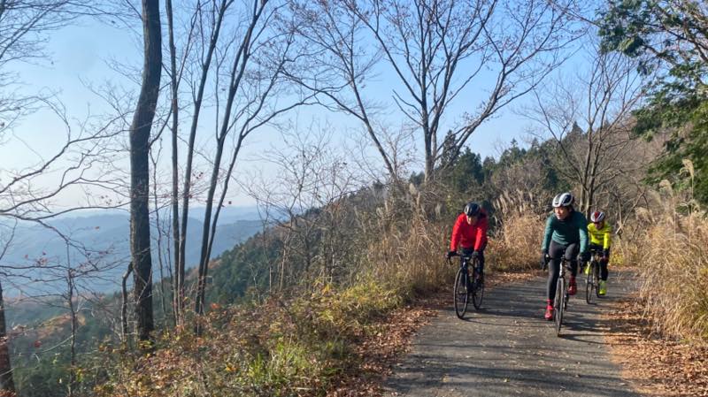 f:id:u_rotas:20211122105011j:plain