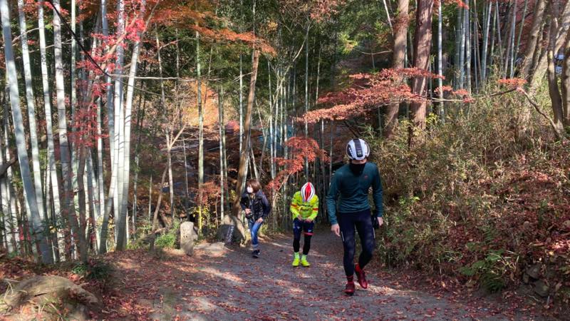 f:id:u_rotas:20211122105124j:plain