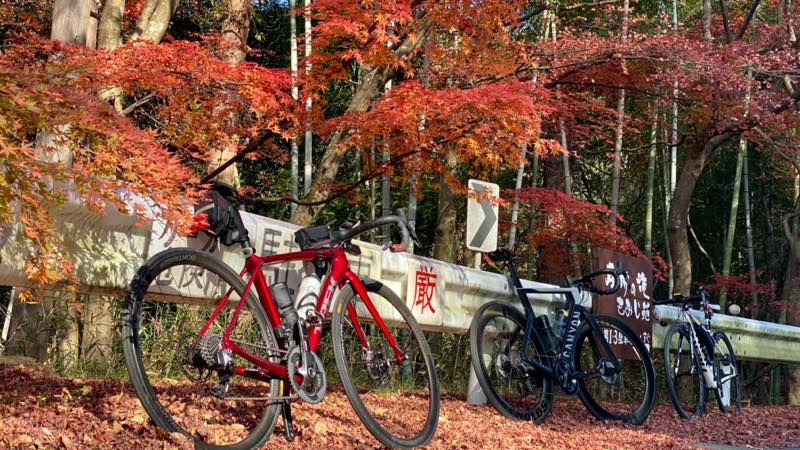 f:id:u_rotas:20211122105128j:plain