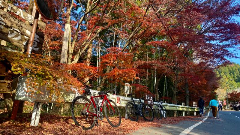 f:id:u_rotas:20211122105131j:plain