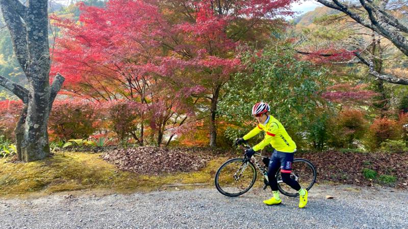 f:id:u_rotas:20211122105206j:plain