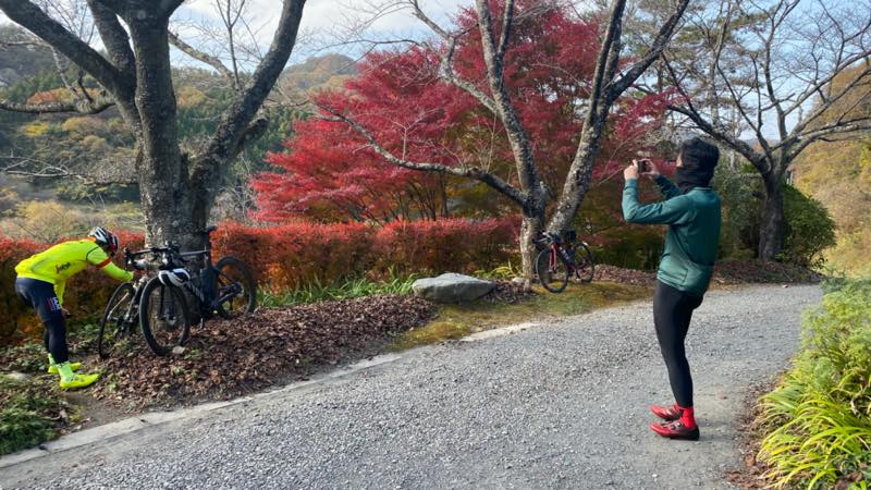 f:id:u_rotas:20211122105211j:plain