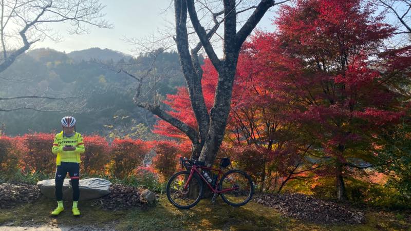 f:id:u_rotas:20211122105228j:plain