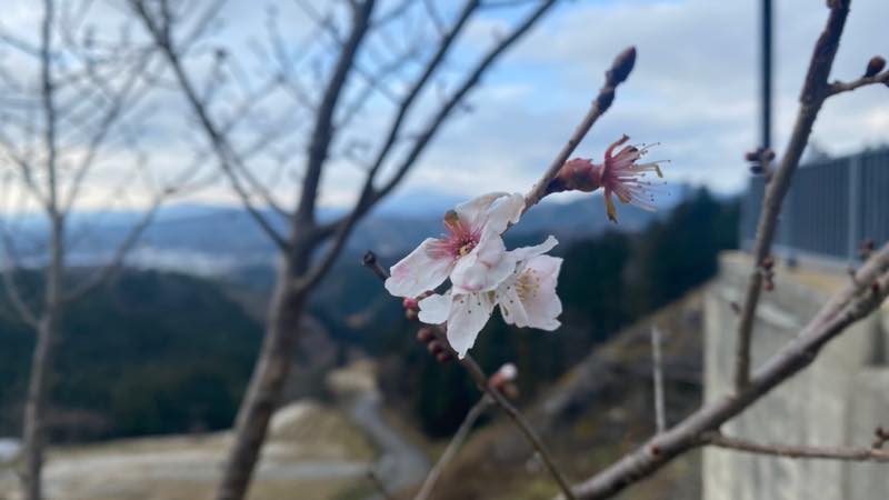 f:id:u_rotas:20211224175532j:plain