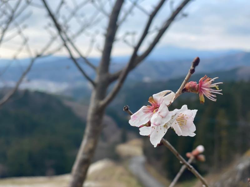 f:id:u_rotas:20211224175534j:plain