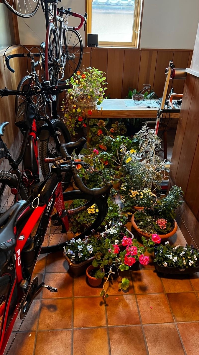 f:id:u_rotas:20211228184503j:plain