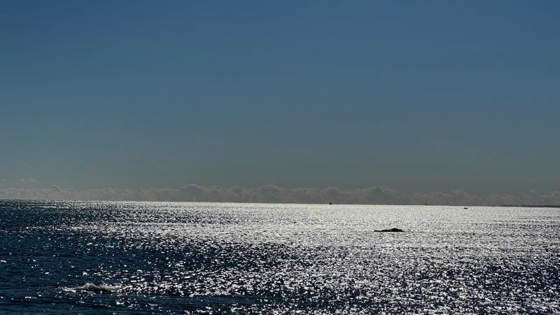 f:id:u_rotas:20211228184532j:plain