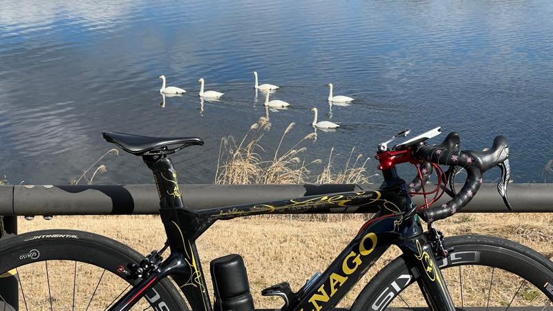 f:id:u_rotas:20220114140439j:plain