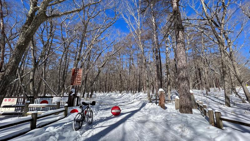 f:id:u_rotas:20220124173512j:plain