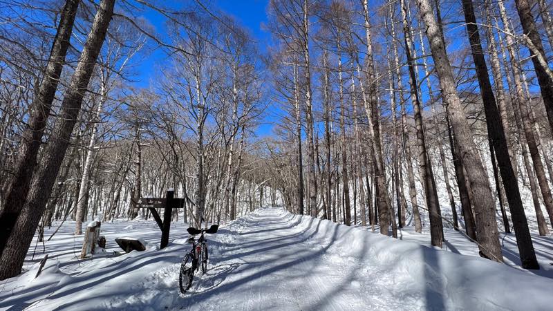 f:id:u_rotas:20220124173518j:plain