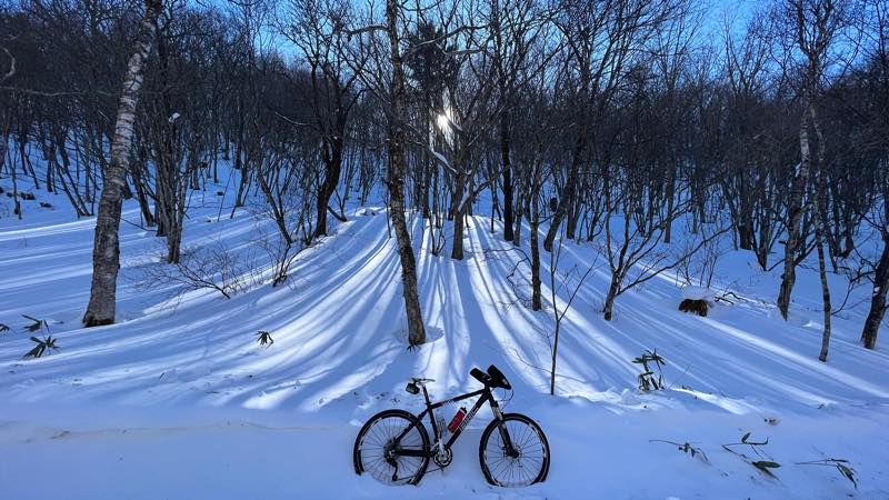 f:id:u_rotas:20220124173522j:plain