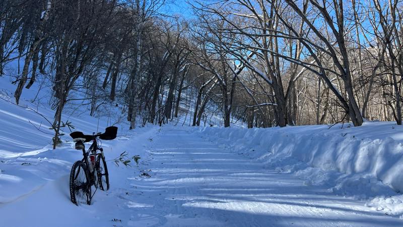 f:id:u_rotas:20220124173528j:plain