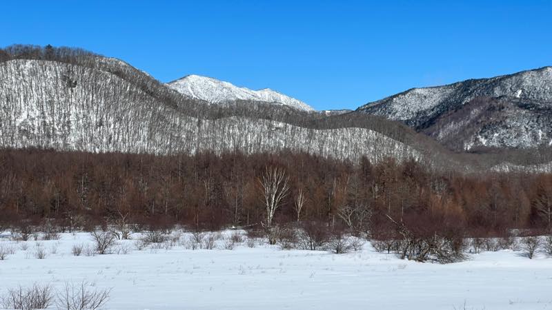 f:id:u_rotas:20220124173535j:plain