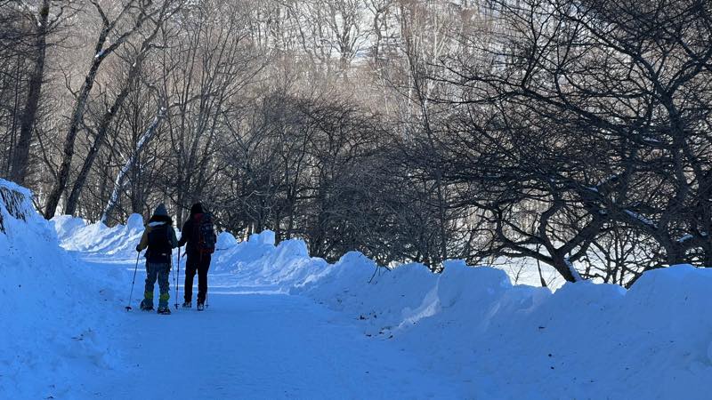 f:id:u_rotas:20220124173543j:plain