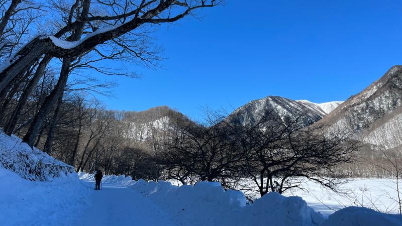 f:id:u_rotas:20220124173545j:plain