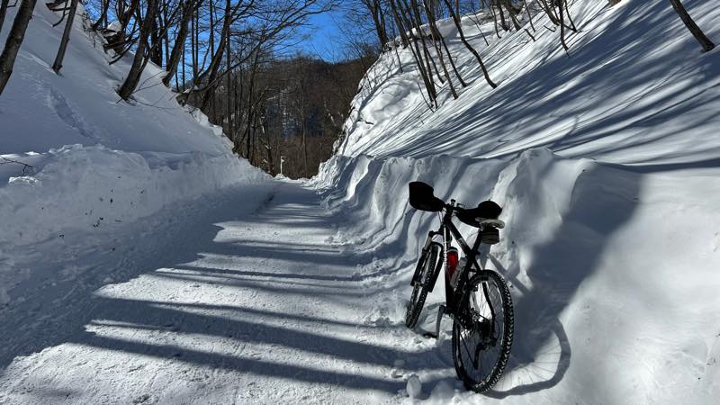 f:id:u_rotas:20220124173548j:plain