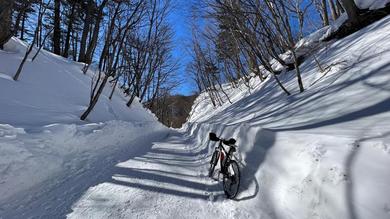 f:id:u_rotas:20220124173550j:plain