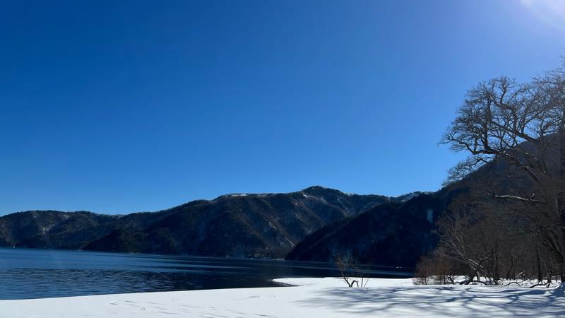 f:id:u_rotas:20220124173630j:plain