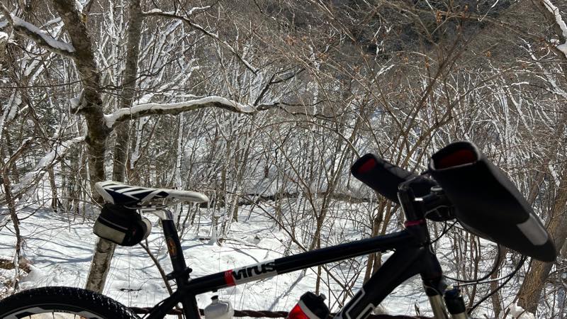 f:id:u_rotas:20220124173708j:plain