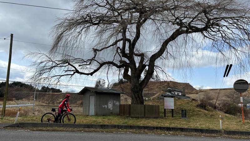 f:id:u_rotas:20220322180428j:plain