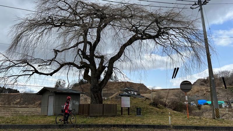 f:id:u_rotas:20220322180430j:plain