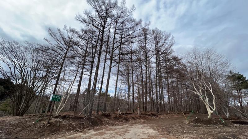 f:id:u_rotas:20220322180521j:plain