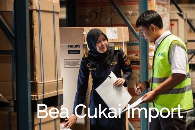 bea cukai impor