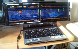 f:id:uboahh:20100131003914p:image