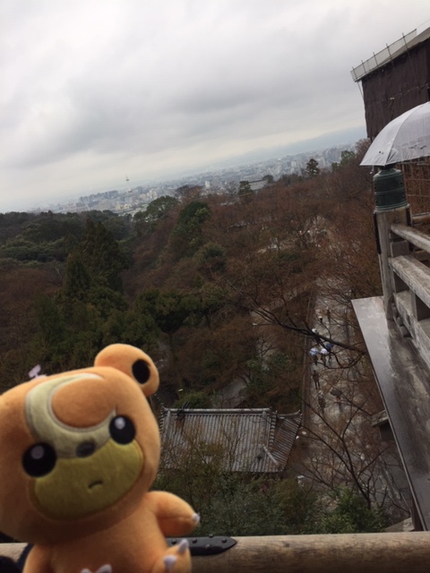 f:id:uc_pokemon:20190301202716j:image:w300