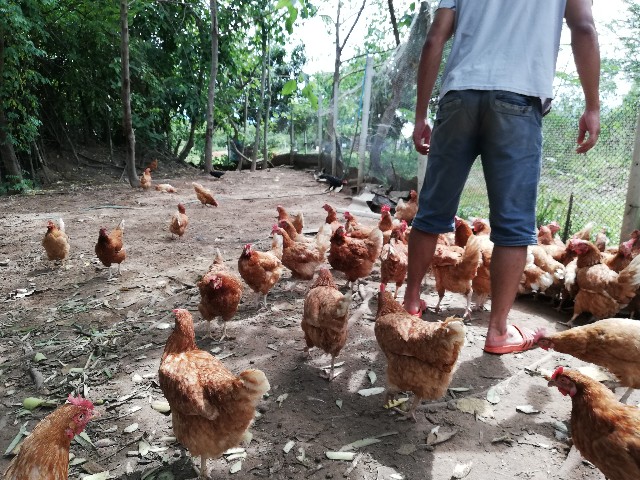 f:id:ucabe:20190705171850j:image f:id:ucabe:20190705171850j:image