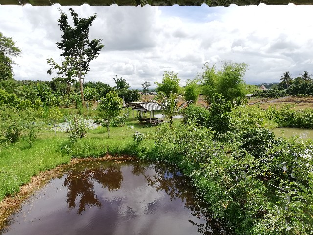 f:id:ucabe:20190705232301j:image f:id:ucabe:20190705232301j:image