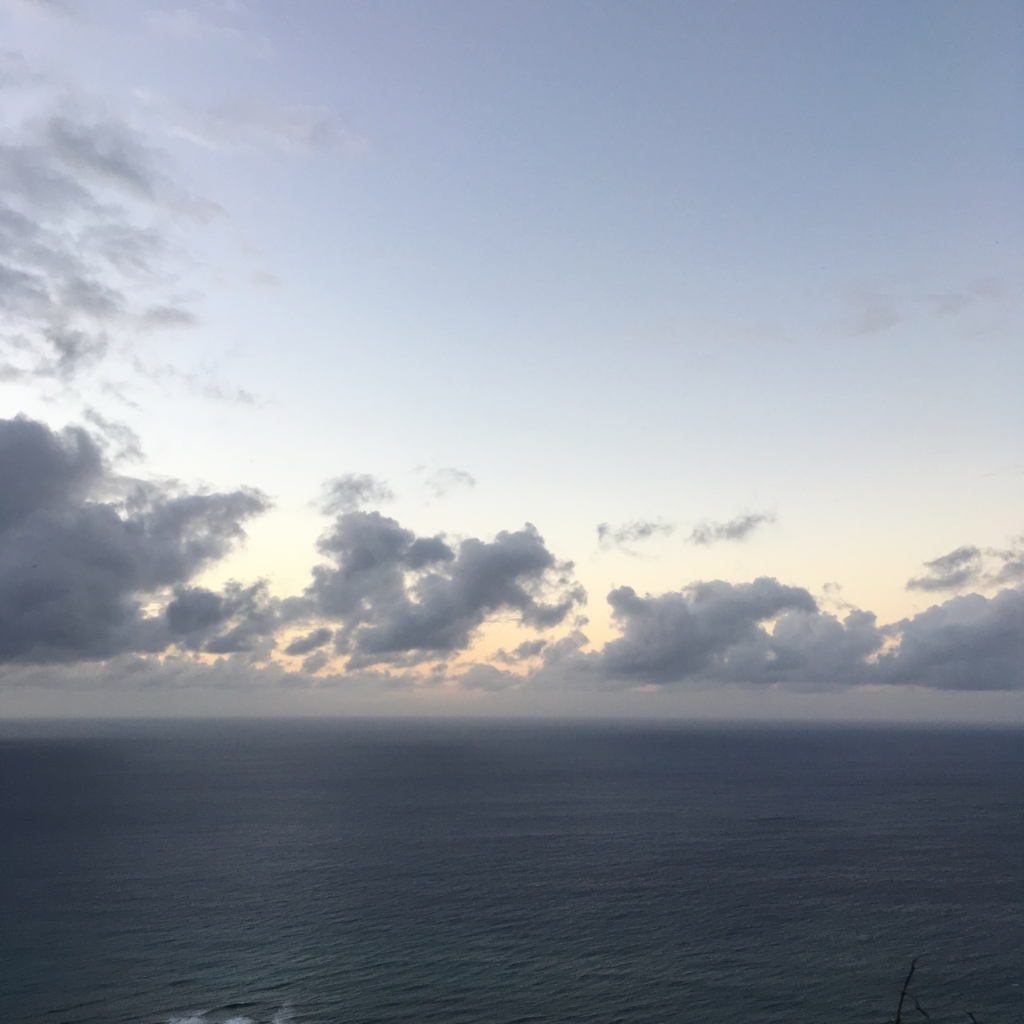 f:id:ucamellia:20170924151124j:plain