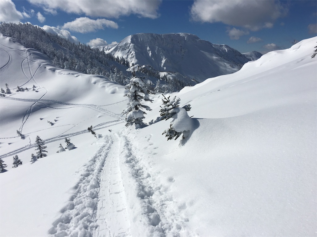 f:id:uccari8:20180209202618j:image
