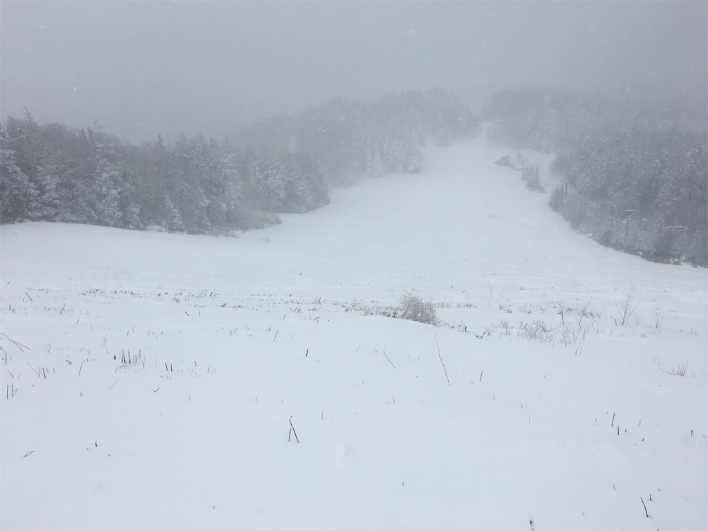 f:id:uccari8:20210110133250j:image