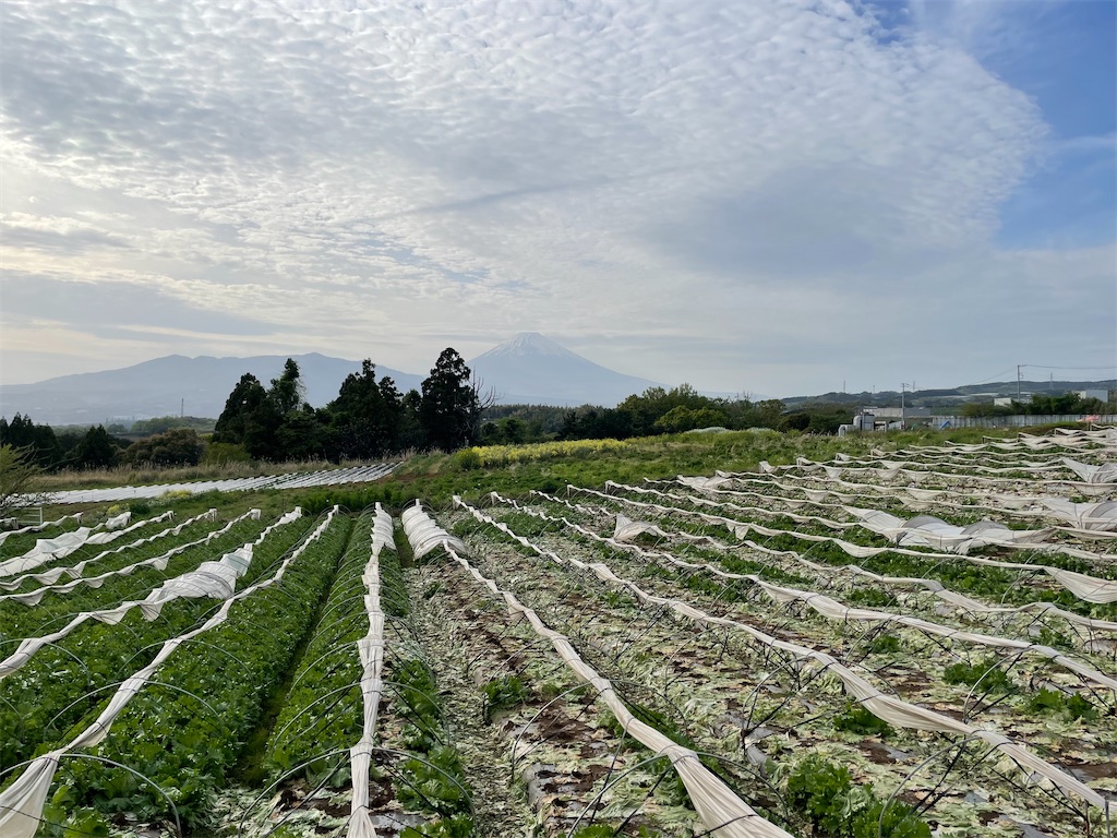 f:id:uccari8:20240421210705j:image