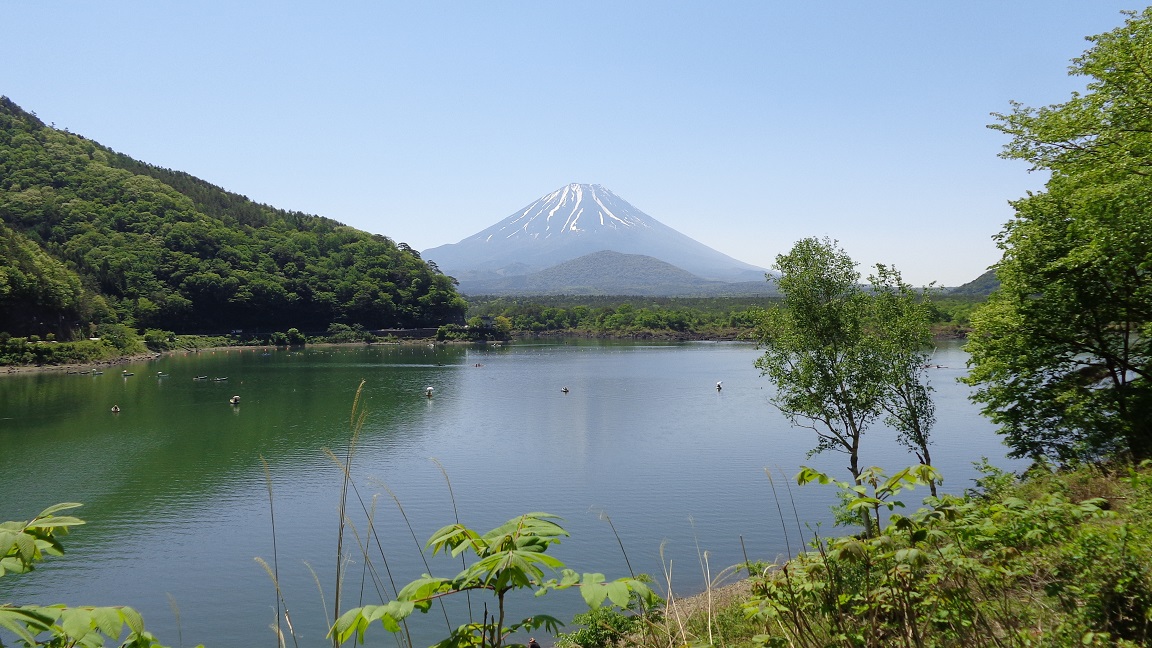 f:id:ucchaman:20190529000646j:plain f:id:ucchaman:20190529000646j:plain