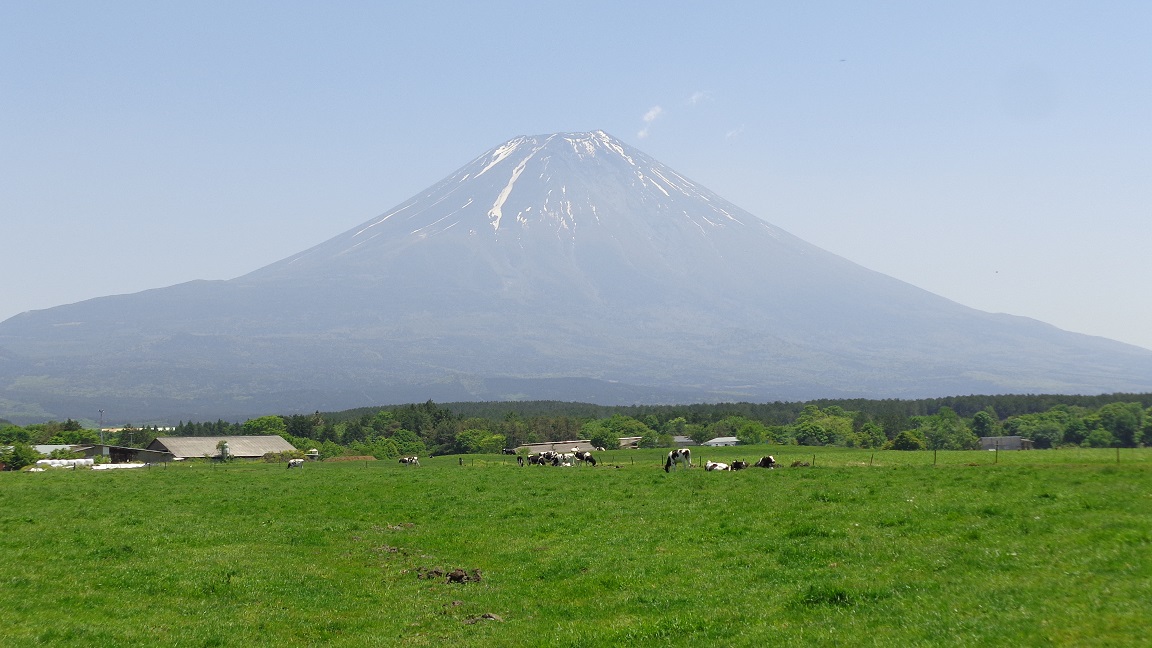 f:id:ucchaman:20190531000454j:plain f:id:ucchaman:20190531000454j:plain