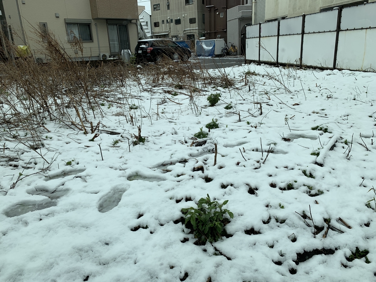 f:id:ucchy01:20200329150957j:plain