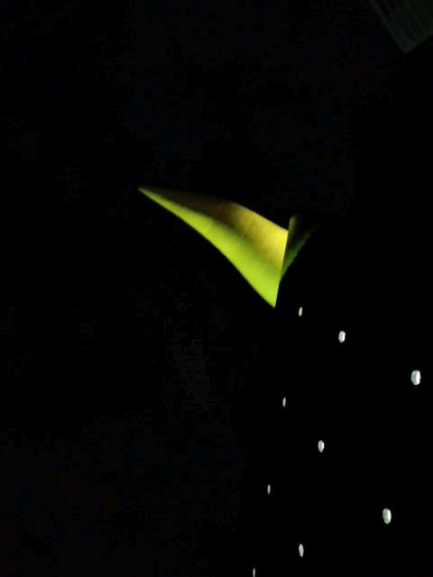 20090105215649