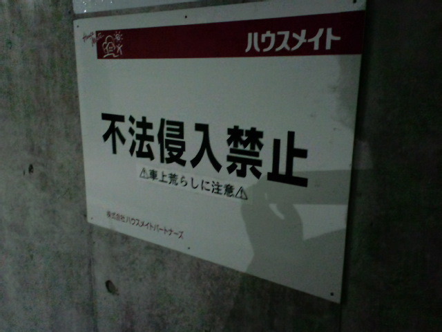20090110003304